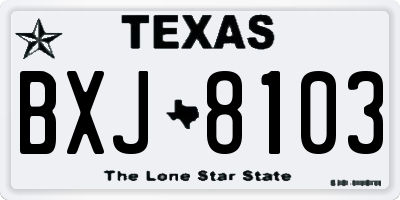 TX license plate BXJ8103