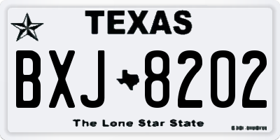 TX license plate BXJ8202