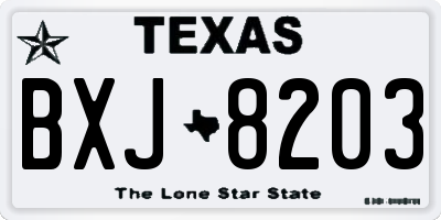 TX license plate BXJ8203