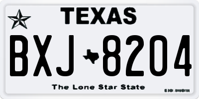 TX license plate BXJ8204