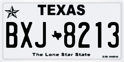 TX license plate BXJ8213