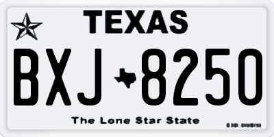 TX license plate BXJ8250