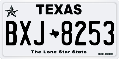 TX license plate BXJ8253