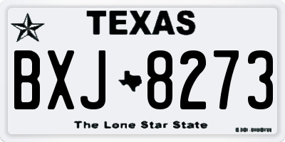 TX license plate BXJ8273