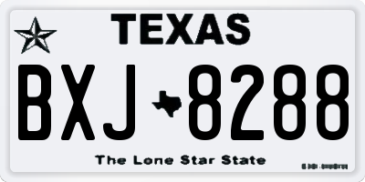 TX license plate BXJ8288