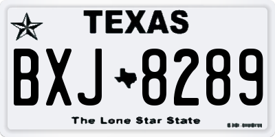 TX license plate BXJ8289