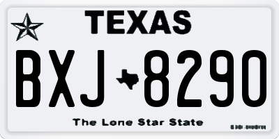 TX license plate BXJ8290