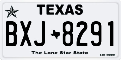 TX license plate BXJ8291