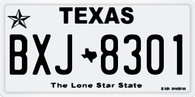 TX license plate BXJ8301