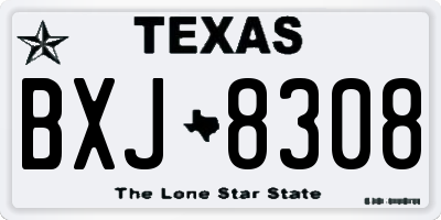 TX license plate BXJ8308
