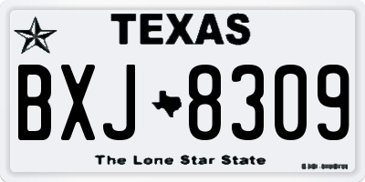 TX license plate BXJ8309