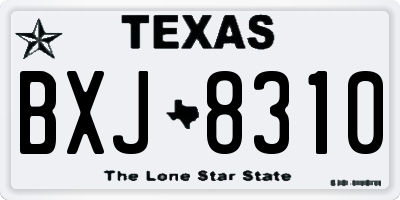 TX license plate BXJ8310