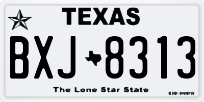 TX license plate BXJ8313