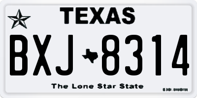 TX license plate BXJ8314
