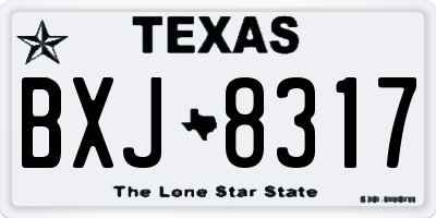 TX license plate BXJ8317