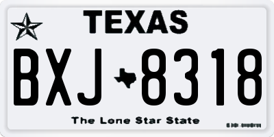 TX license plate BXJ8318