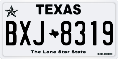 TX license plate BXJ8319