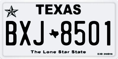 TX license plate BXJ8501
