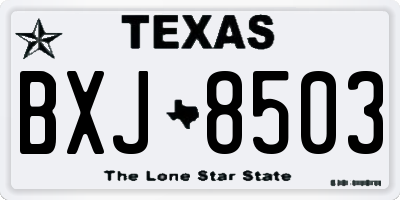TX license plate BXJ8503