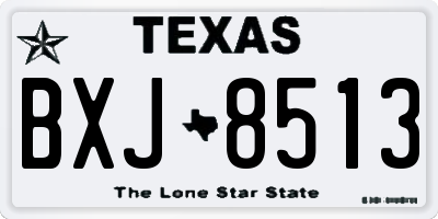 TX license plate BXJ8513