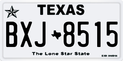 TX license plate BXJ8515