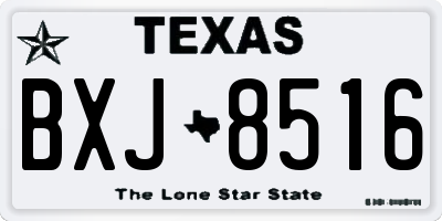 TX license plate BXJ8516