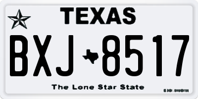 TX license plate BXJ8517