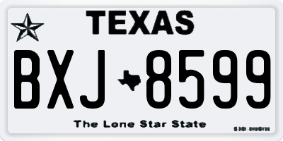 TX license plate BXJ8599