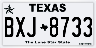 TX license plate BXJ8733