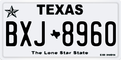 TX license plate BXJ8960