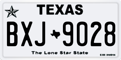 TX license plate BXJ9028