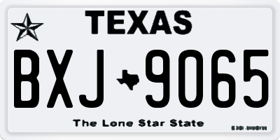 TX license plate BXJ9065