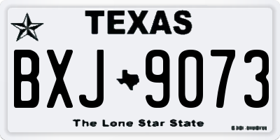 TX license plate BXJ9073