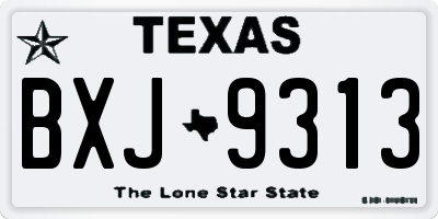 TX license plate BXJ9313