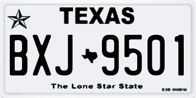 TX license plate BXJ9501