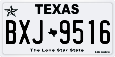 TX license plate BXJ9516