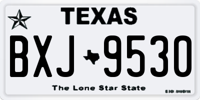 TX license plate BXJ9530