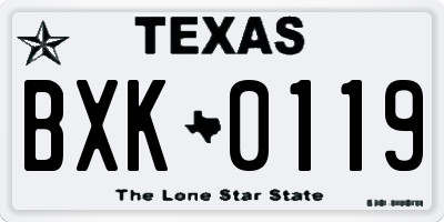 TX license plate BXK0119