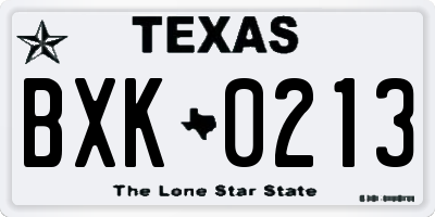 TX license plate BXK0213