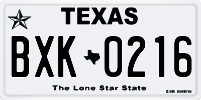 TX license plate BXK0216