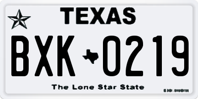 TX license plate BXK0219
