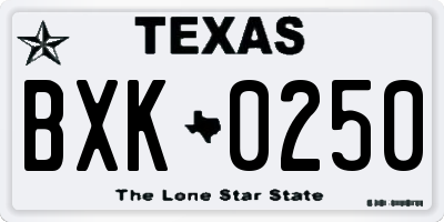 TX license plate BXK0250