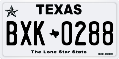 TX license plate BXK0288