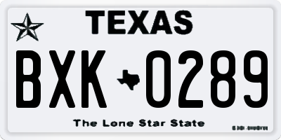 TX license plate BXK0289