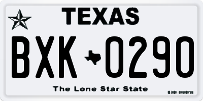 TX license plate BXK0290