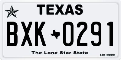 TX license plate BXK0291