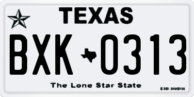 TX license plate BXK0313