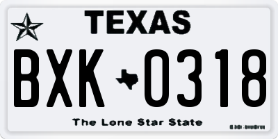 TX license plate BXK0318
