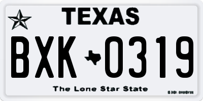 TX license plate BXK0319