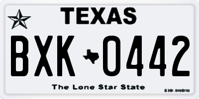 TX license plate BXK0442